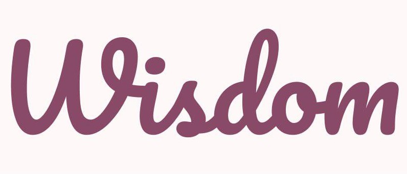 Wisdom AI Logo
